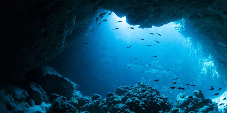 NOAA-BDP-World-Ocean-Day-adobe-stock-ocean-deep-blue-fish-cave-1200x600-1